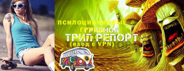 спайс Бородино