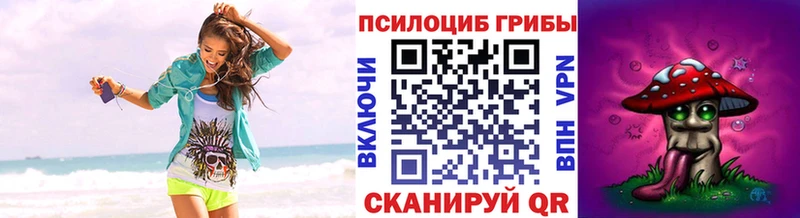 Псилоцибиновые грибы GOLDEN TEACHER  Купить закладки  Полевской 